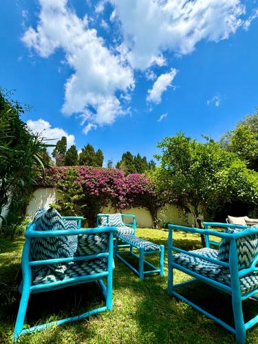 three blue benches sitting on the grass in a yard at Olivia sidibou in Sidi Bou Saïd