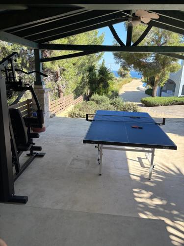 Kemudahan pingpong di Livealot Villa atau berdekatan