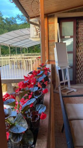 a row of red flowers on a patio at Agri Resort Masusa in Aquara