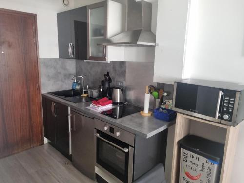 une petite cuisine avec un évier et un micro-ondes dans l'établissement Chez Léa, à Thonon-les-Bains