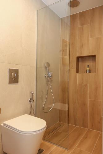 a bathroom with a toilet and a shower at Heaven Apartments in Agia Marina Nea Kydonias