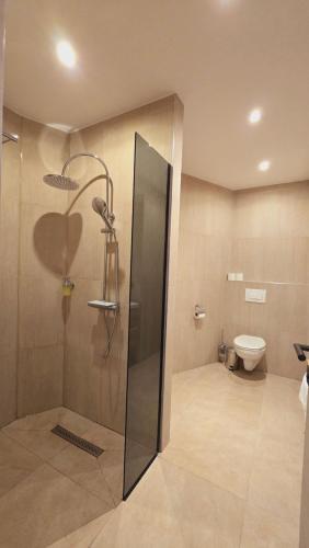 a bathroom with a shower and a toilet at Elegance Studios in Vienna