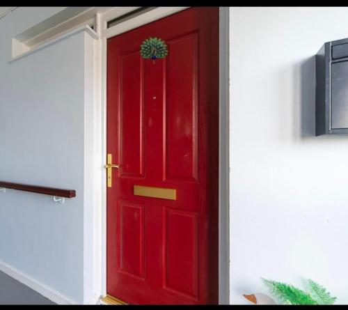 a red door with a plant on top of it at Sleek 2 Bedroom Apartment in Belfast