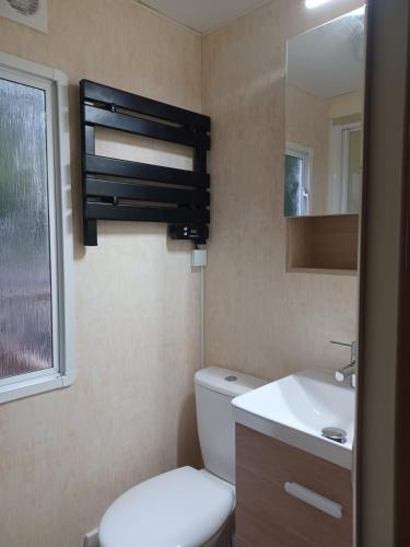 une salle de bain avec toilettes, lavabo et miroir dans l'établissement Etang de Peyrilhac, à Peyrilhac