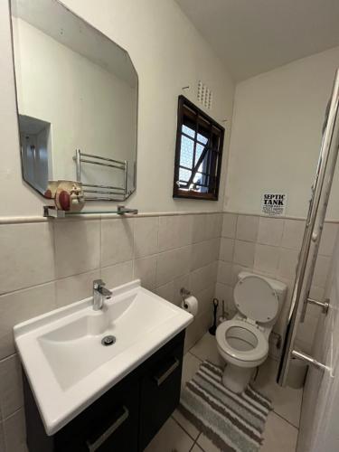 a bathroom with a sink and a toilet and a mirror at The Three Trees in Gillitts