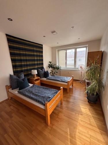 a living room with two beds and two windows at apartmán minimal in Spišská Nová Ves