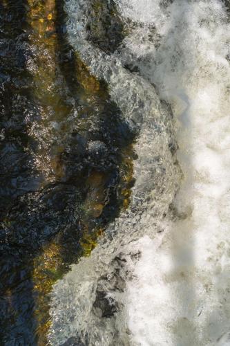 a close up of a stream of water at Waterfield House B&B in Dorchester