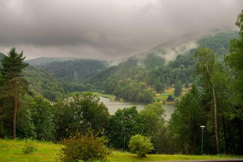 a view of a river in a valley with trees at Osrodek Wypoczynkowy " BIESZCZADY" in Myczkowce