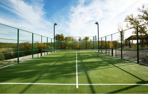 a tennis court with a net on top of it at Pet Friendly Home In Acquapendente in Acquapendente