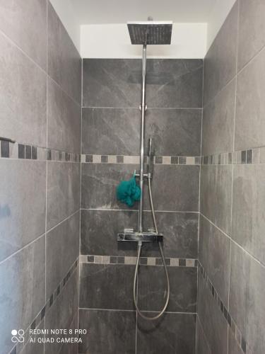 une douche avec pommeau de douche dans une salle de bain dans l'établissement Agréable villa familiale avec piscine, à Prades-le-Lez