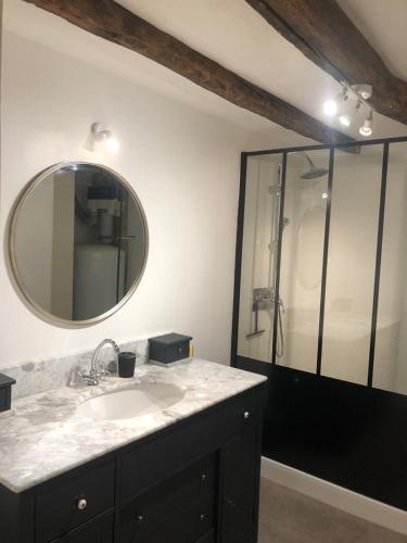 une salle de bain avec un lavabo et une douche avec un miroir dans l'établissement Le Clos de La Chapelle - Gîte Les Glycines, à La Chapelle-sur-Loire