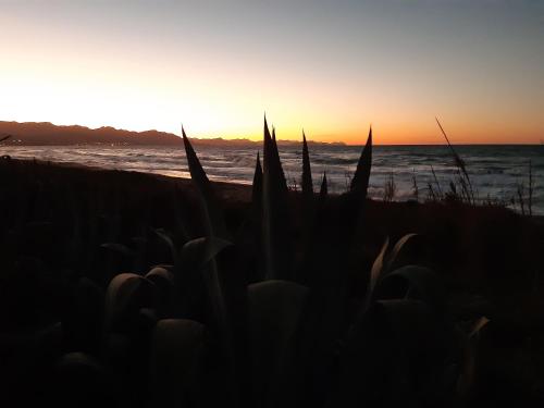 a sunset on the beach with plants in the foreground at Campofelice Holidays East Villa in Campofelice di Roccella