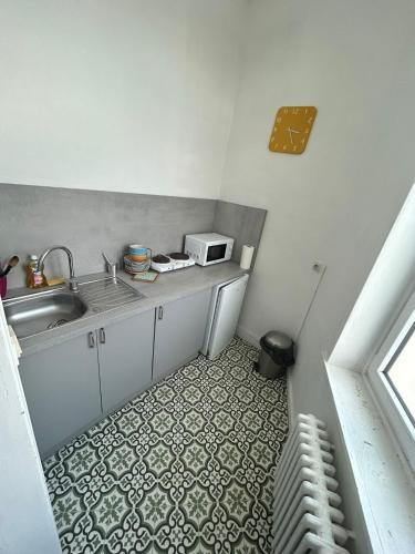 une petite cuisine avec un évier et un micro-ondes dans l'établissement Suite Fleurus, à Lille