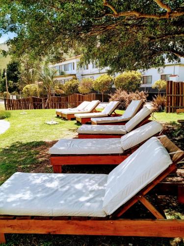 a row of chaise lounges sitting under a tree at Hotel Colores in Merlo