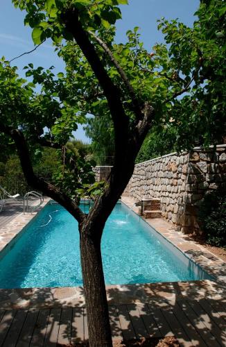 un arbre en face d'une piscine dans l'établissement Villa-Cyprès-La-Polynésie-Giens, à Hyères