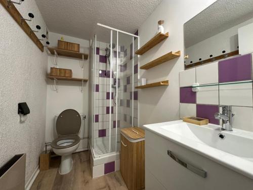 une salle de bain avec toilettes et lavabo dans l'établissement Charmant duplex mezzanine à Morillon près télécabine - FR-1-642-38, à Morillon