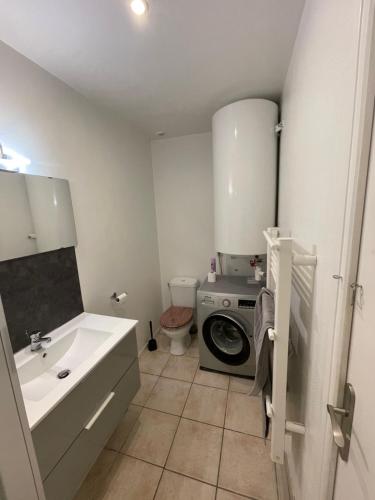 une salle de bain avec un lavabo et une machine à laver dans l'établissement Appart 2 à croix, à Croix