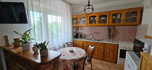 Kuchyň nebo kuchyňský kout v ubytování Anna Apartman