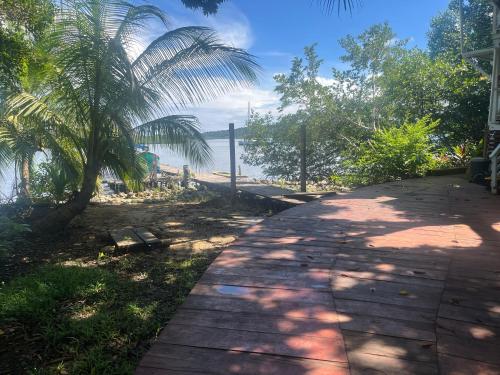 a walkway next to a beach with a palm tree at SEAHORSE POINT HOTEL and NATURE RESERVE in Bocas del Toro