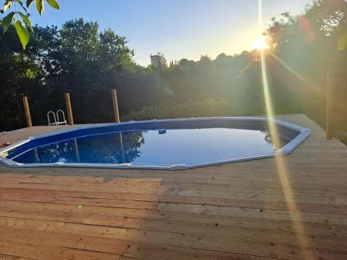Sunshine Suites photo 50