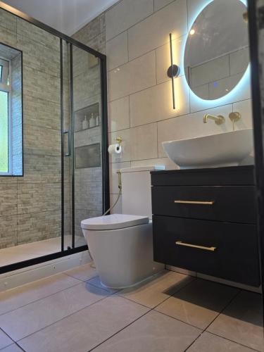 a bathroom with a toilet and a sink and a shower at Stunning property with Summer house in Bescot