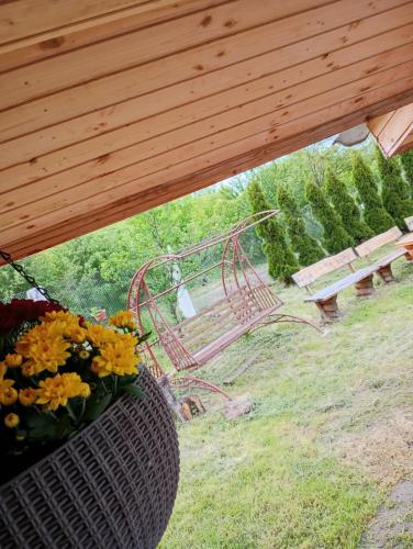 Κήπος έξω από το Casa Dumbrăvița
