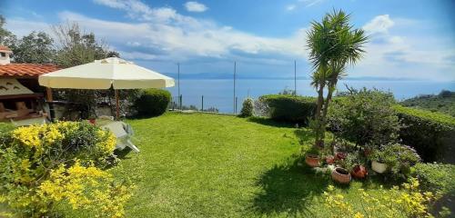 a garden with an umbrella and a palm tree at OYRANIA -Μαυροβούνι Γυθείου- Σπίτι με θέα in Mavrovoúnion