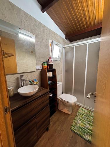 a bathroom with a sink and a toilet at Small house in the nature in Granadilla de Abona