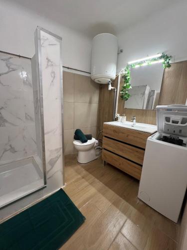 une salle de bain avec une douche, des toilettes et un lavabo dans l'établissement Ô Cocon d Océane, à Nîmes