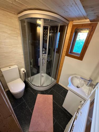 a bathroom with a shower and a toilet and a sink at Ferienwohnungen Hatzl in Neuwald