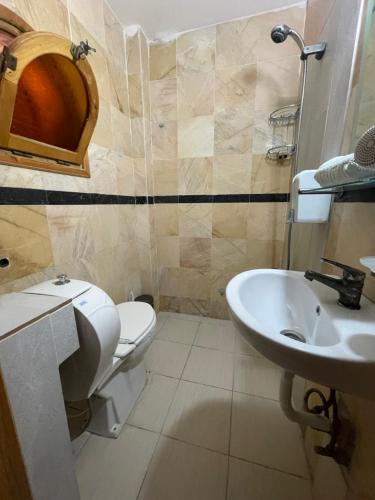 a bathroom with a toilet and a sink at Teras in Seferihisar