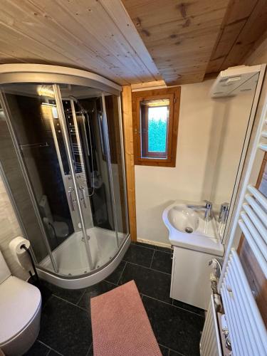 a small bathroom with a shower and a sink at Ferienwohnungen Hatzl in Neuwald