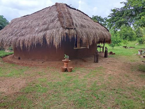 a hut with a grass roof with a plant in front at Nature Kingdom Sri Lanka in Hambegamuwa