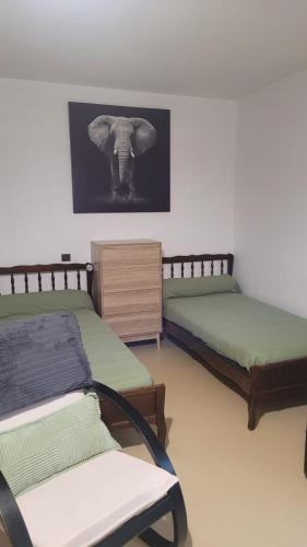 a room with two beds and a picture of an elephant at Appartement BARBOTAN LES THERMES in Cazaubon