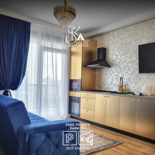 Η κουζίνα ή μικρή κουζίνα στο Sika Trezor Apartment Arad