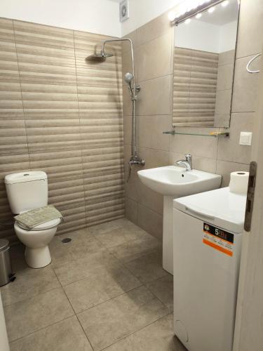 a bathroom with a toilet and a sink and a mirror at Alexia Rooms in Palaiochora