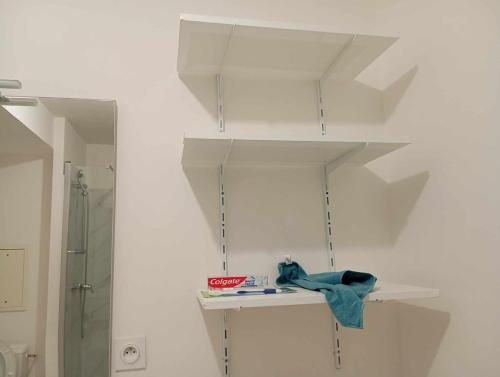 La salle de bains blanche est pourvue d'une douche et d'une étagère blanche. dans l'établissement Luxury apartment, à Gagny