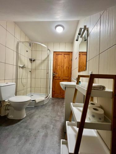 a bathroom with a toilet and a shower and a sink at Wigierska Osada in Danowskie