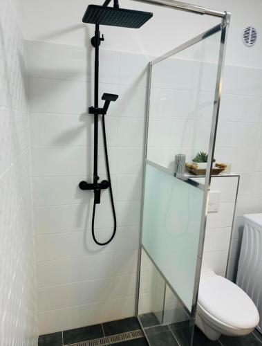 a shower in a bathroom with a toilet at Fühl dich wohl im Salzkammergut in Strobl