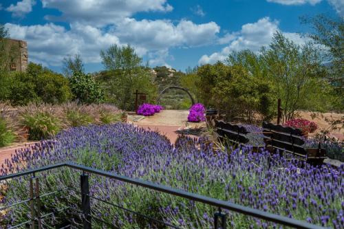 a garden with purple flowers and benches at Brisa Del Valle Hotel Boutique in Valle de Guadalupe