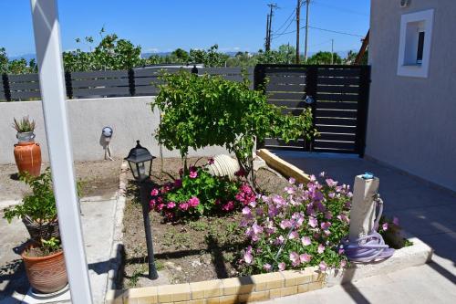 a garden with flowers and a street light and a fence at Da Vinci kavouropetra in Aegina Town