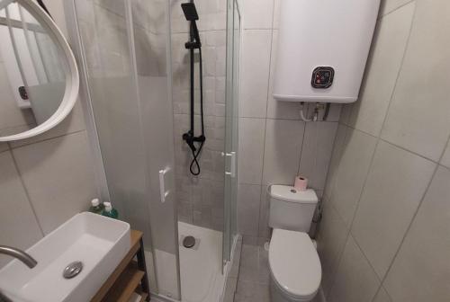 a bathroom with a shower and a toilet and a sink at Private place in the city center, private bathroom in Nice