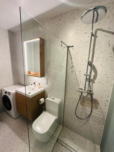 un bagno con doccia, WC e lavandino di Green Flat a Tarnowskie Góry