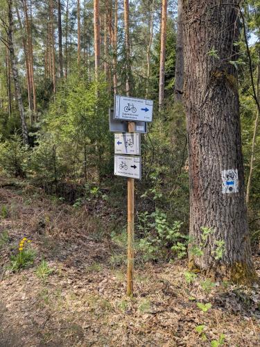 a sign in the woods next to a tree at Chata w lesie in Zagwiździe