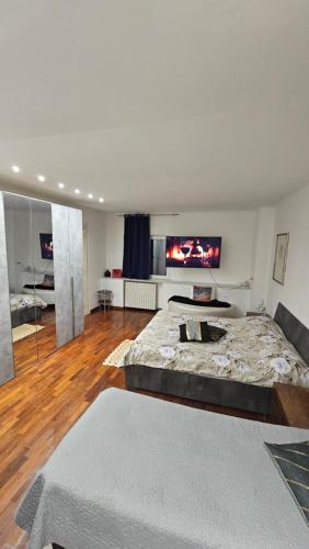 a large bedroom with a large bed and a flat screen tv at TERRAZZE BS in Rutigliano