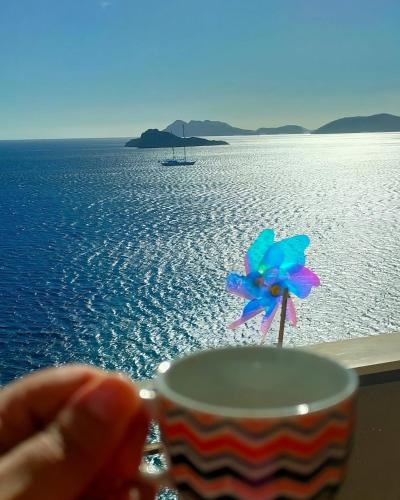 a cup with a flower on a balcony with the ocean at L'incanto Blu in Teulada