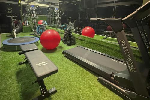 Fitness centrum a/nebo fitness zařízení v ubytování 4 Sur Hotel