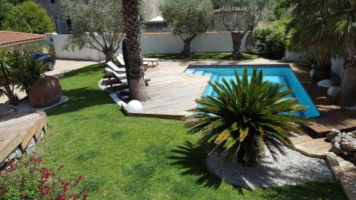 une cour avec une piscine et un palmier dans l'établissement Moment de rêve guaranti, à Baillargues