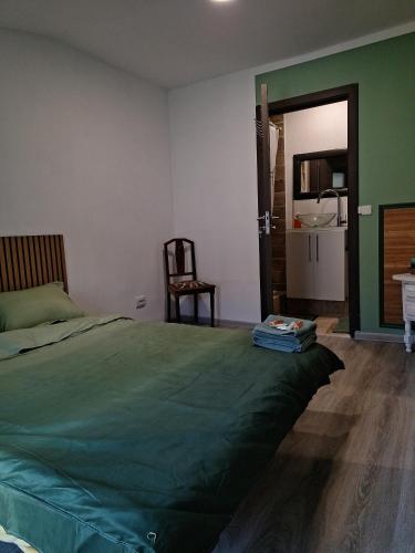 - une chambre avec un lit vert et une salle de bains dans l'établissement Galamus Bonheur - Tous fournis aux randonneurs, à Saint-Paul-de-Fenouillet