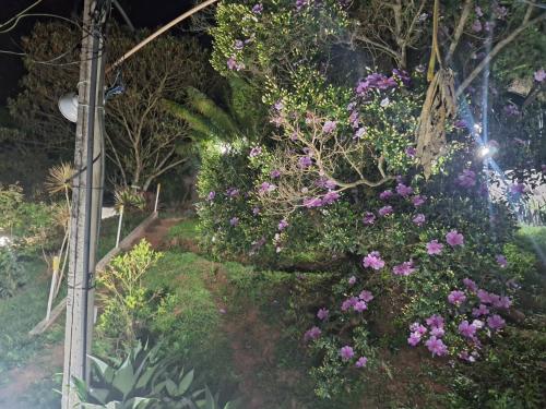 a garden with purple flowers and a pole at Suíte Casa de Luz-Lar na Serra-quarto 03 in Miguel Pereira